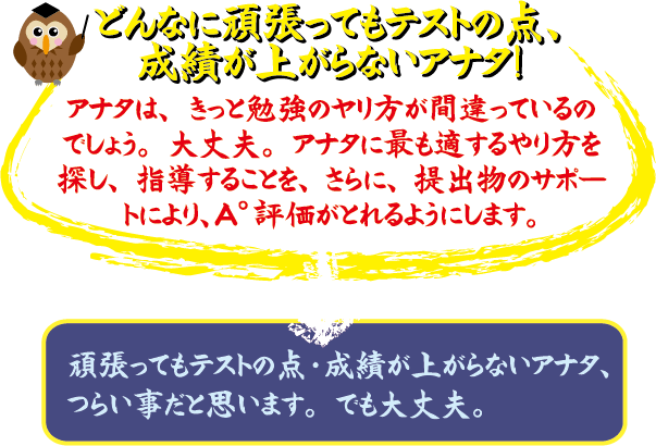 どんなに頑張ってもテストの点、成績が上がらないアナタ! アナタは、もっと効率のカリキュラムが間違っているのでしょう。大丈夫。アナタに最も適するやり方を探し、指導すること、さらに、提出物のサポートにより、A*評にひかれるようにします。